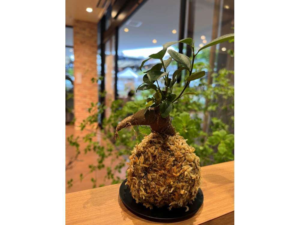 花・花雑貨販売＆ワークショップ「Piece Flowerz Works」限定オープン！