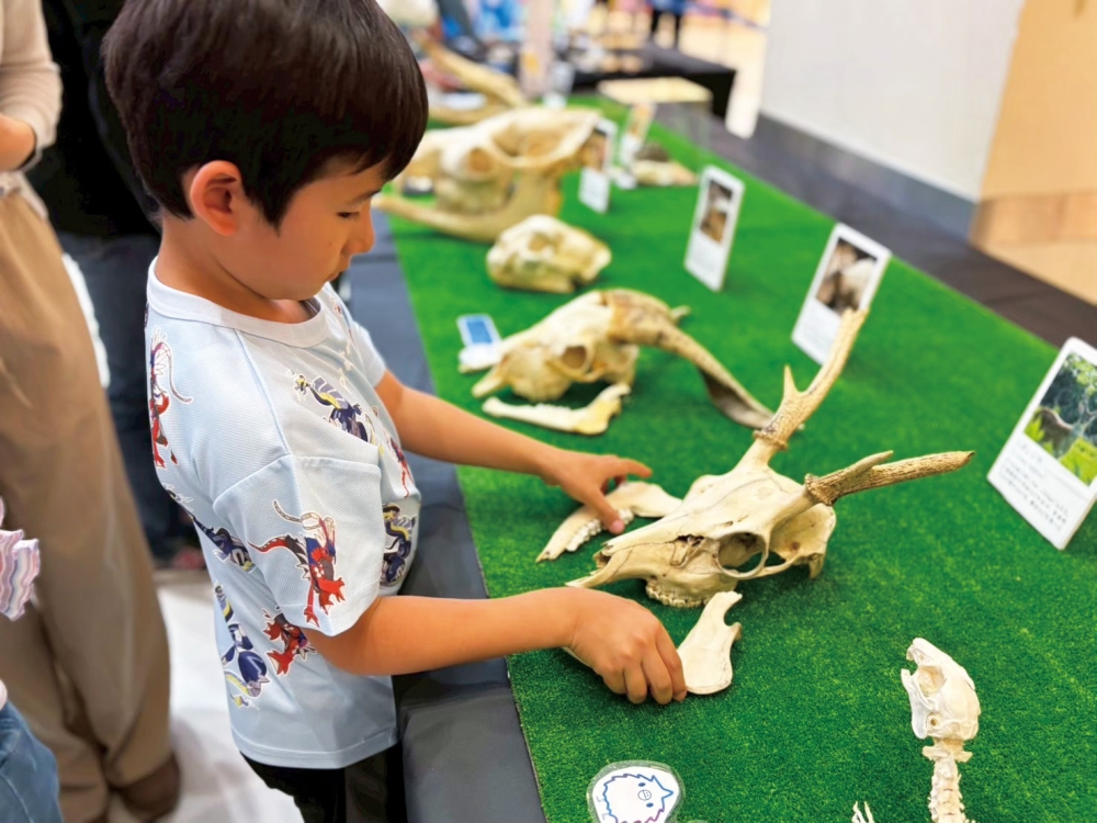 仙台初開催！「さわれる科学博」