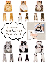 フェリシモ猫部