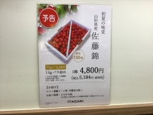【さくらんぼ　ご注文承り中】