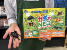 スーパーガチャＮＥＯ昆虫フィギュア