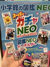 NEOスーパーガチャ第2弾スタート‼