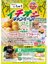 キャンペーン開催中!!